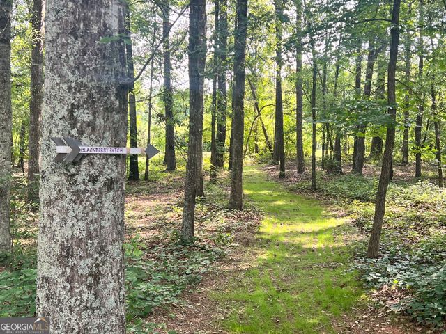 3115 East Fairview Rd, Mcdonough, GA 30252