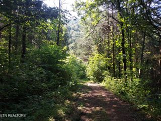 779 PawPaw Rd, Thorn Hill, TN 37881