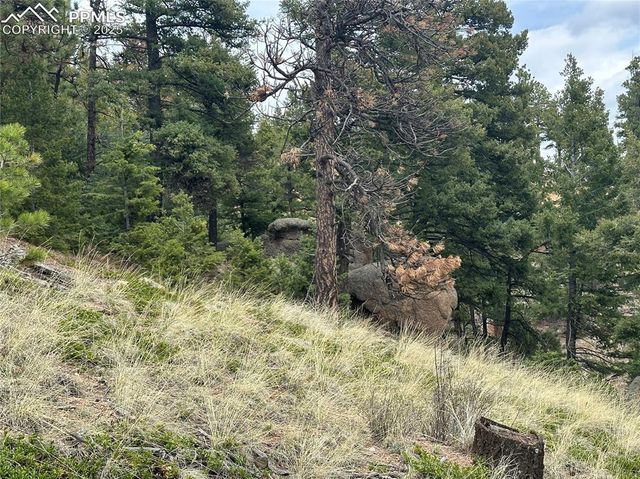 275 Upper Vista Road, Manitou Springs, CO 80829