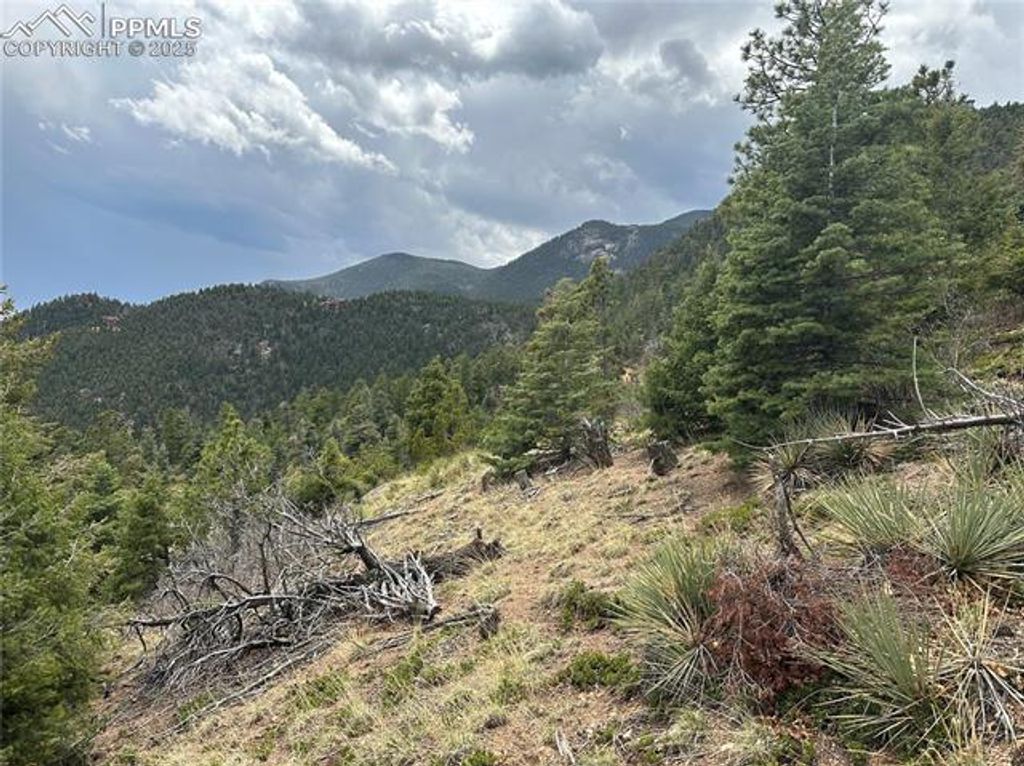 275 Upper Vista Road, Manitou Springs, CO 80829 — photo 2