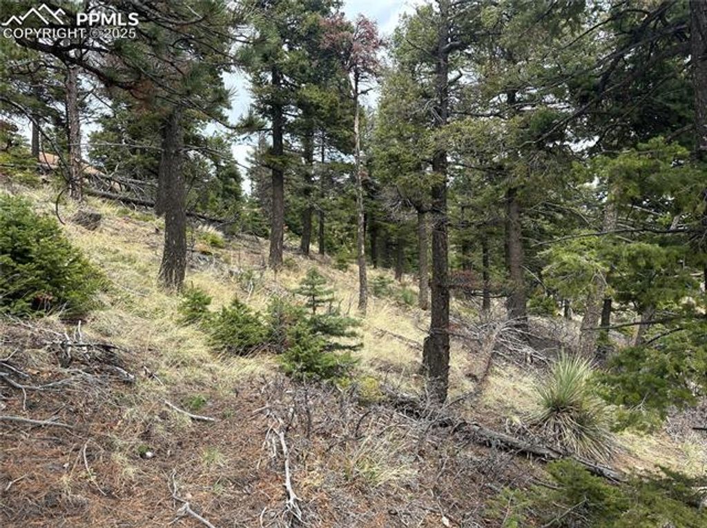 275 Upper Vista Road, Manitou Springs, CO 80829 — photo 5