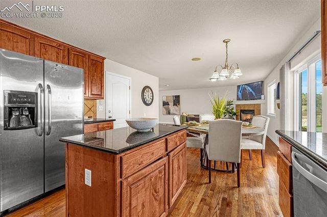 11633 Black Maple Lane, Colorado Springs, CO 80921