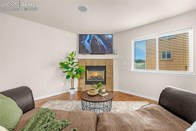 11633 Black Maple Lane, Colorado Springs, CO 80921