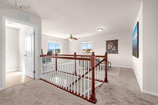 11633 Black Maple Lane, Colorado Springs, CO 80921