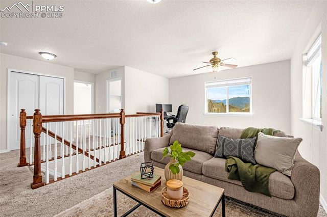 11633 Black Maple Lane, Colorado Springs, CO 80921