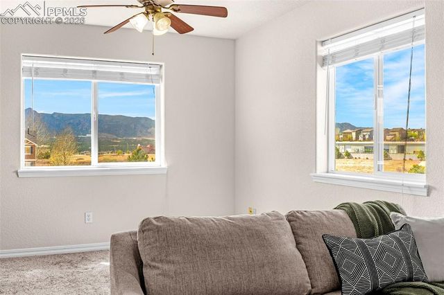 11633 Black Maple Lane, Colorado Springs, CO 80921