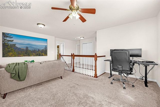 11633 Black Maple Lane, Colorado Springs, CO 80921