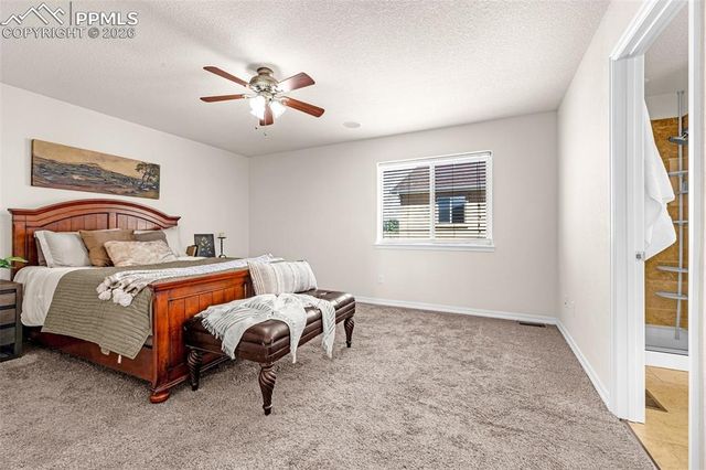 11633 Black Maple Lane, Colorado Springs, CO 80921