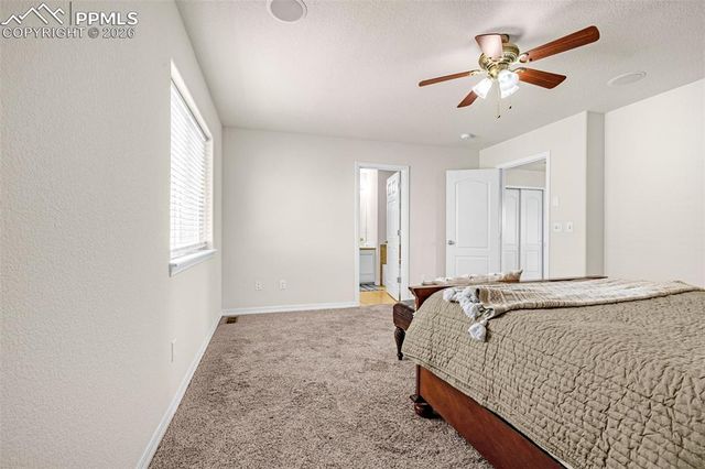 11633 Black Maple Lane, Colorado Springs, CO 80921