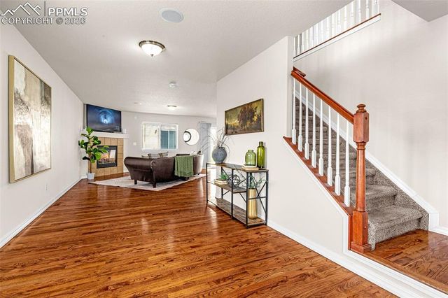 11633 Black Maple Lane, Colorado Springs, CO 80921