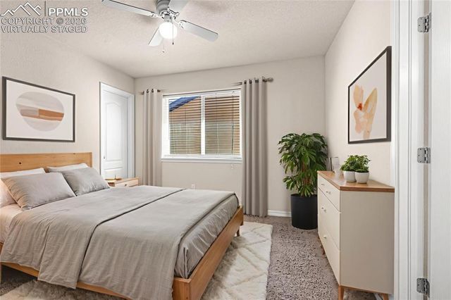 11633 Black Maple Lane, Colorado Springs, CO 80921