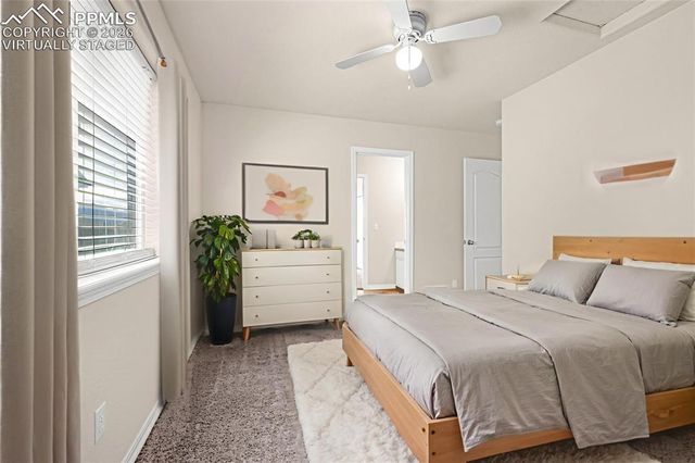 11633 Black Maple Lane, Colorado Springs, CO 80921