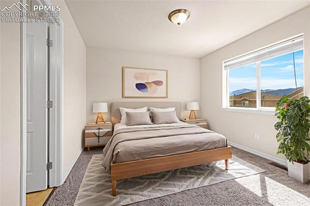 11633 Black Maple Lane, Colorado Springs, CO 80921