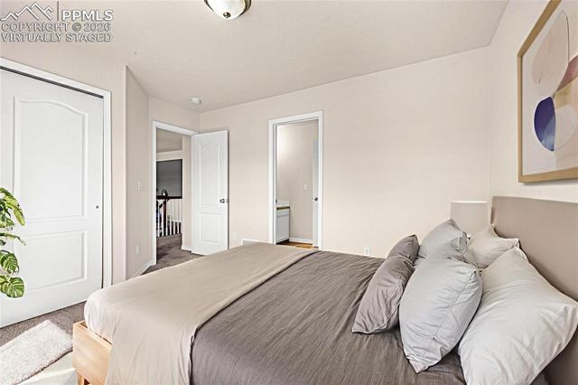 11633 Black Maple Lane, Colorado Springs, CO 80921