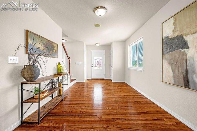 11633 Black Maple Lane, Colorado Springs, CO 80921