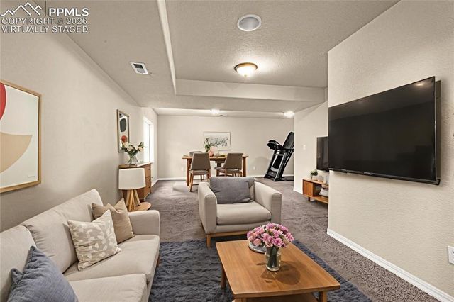 11633 Black Maple Lane, Colorado Springs, CO 80921