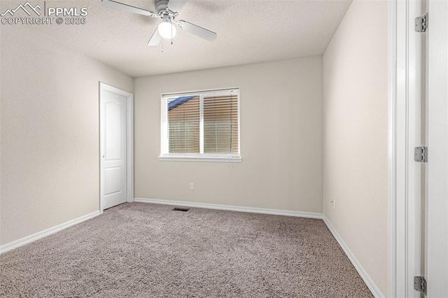 11633 Black Maple Lane, Colorado Springs, CO 80921