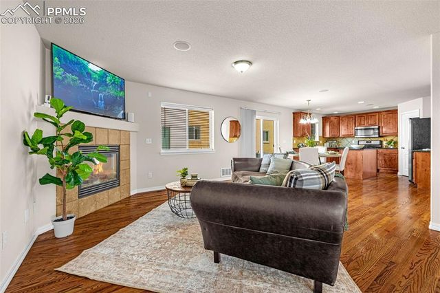 11633 Black Maple Lane, Colorado Springs, CO 80921