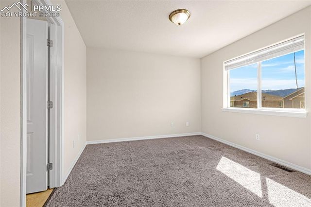 11633 Black Maple Lane, Colorado Springs, CO 80921