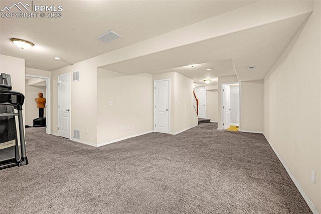 11633 Black Maple Lane, Colorado Springs, CO 80921