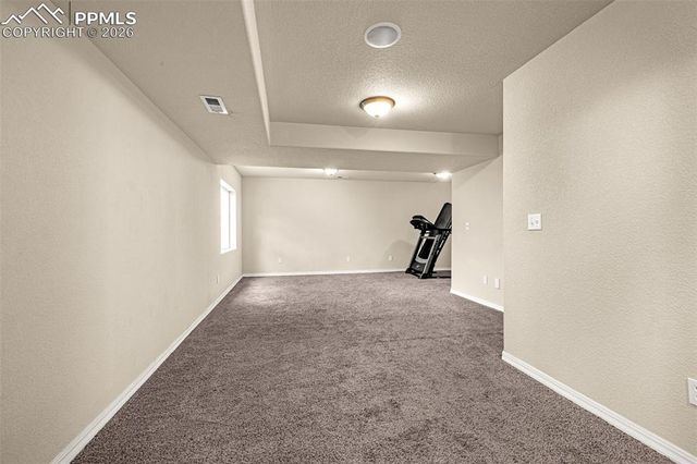 11633 Black Maple Lane, Colorado Springs, CO 80921