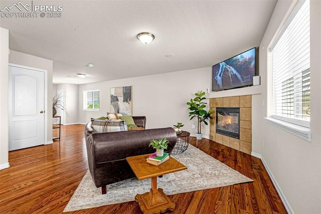 11633 Black Maple Lane, Colorado Springs, CO 80921