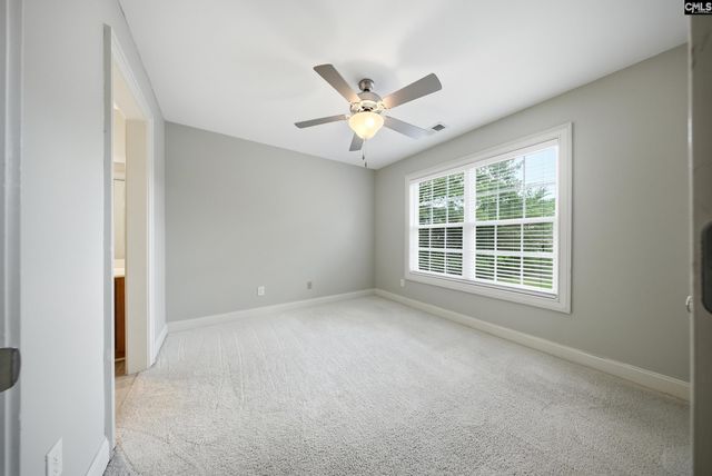 31 clay Court, Chapin, SC 29036