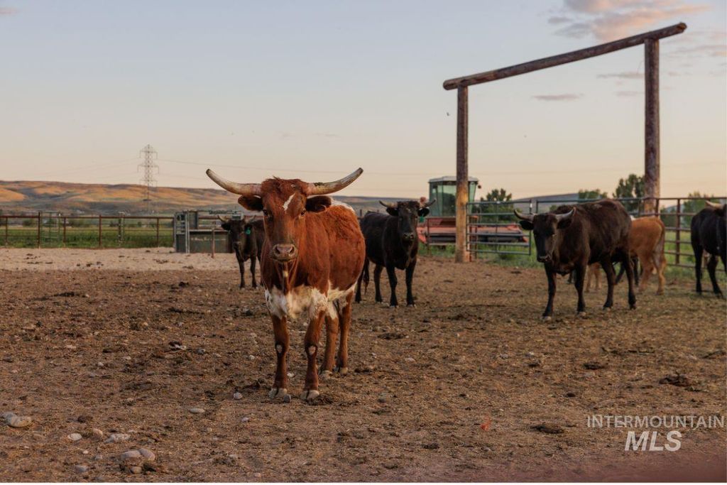 2143 Bonner Rd, Midvale, ID 83645 photo 15