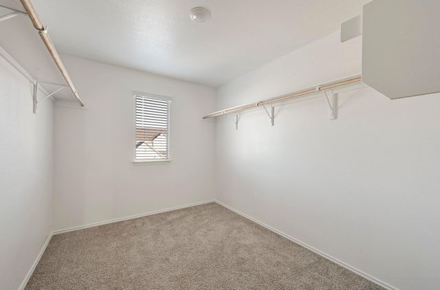 191 Frogmore LOOP, Kyle, TX 78640