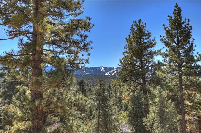 1101 Mound Street, Big Bear City, CA 92314