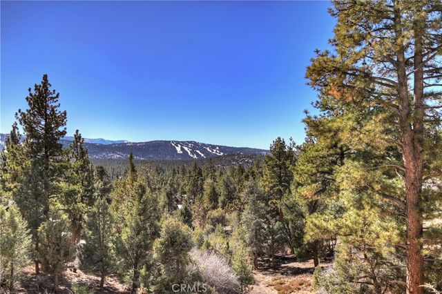 1101 Mound Street, Big Bear City, CA 92314
