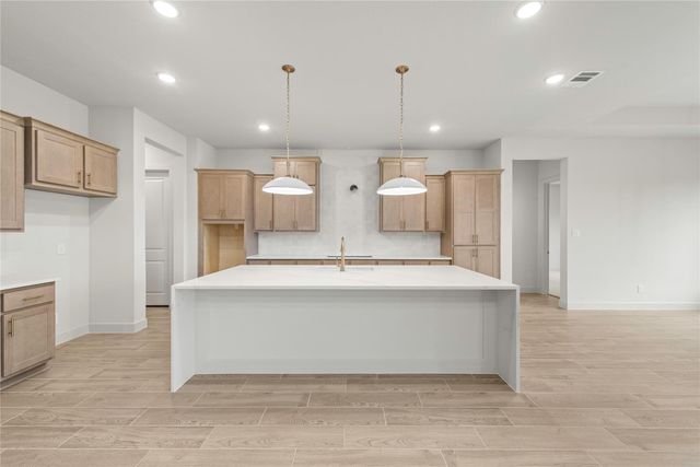 109 Meadow Beauty LN, Georgetown, TX 78633