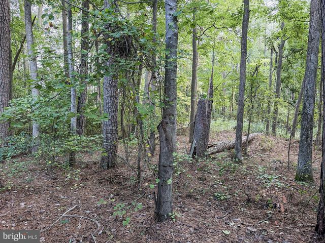 1 FREEPORT LN, Berlin, MD 21811