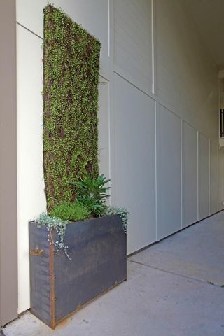 924 E 51st ST 106, Austin, TX 78751