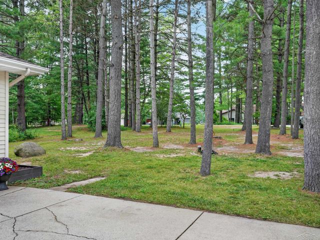 4514 W Salisbury Drive, Butman Twp, MI 48624