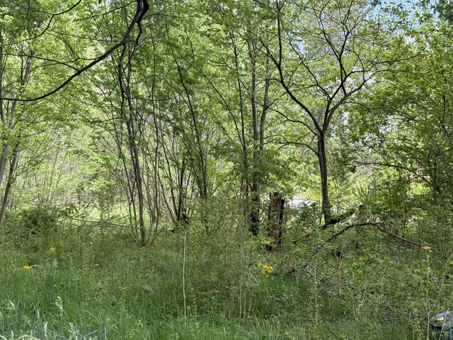 20 Morrison Rd, Gruetli Laager, TN 37339