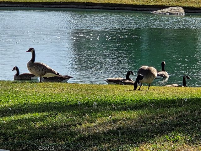 631 La Costa, Banning, CA 92220