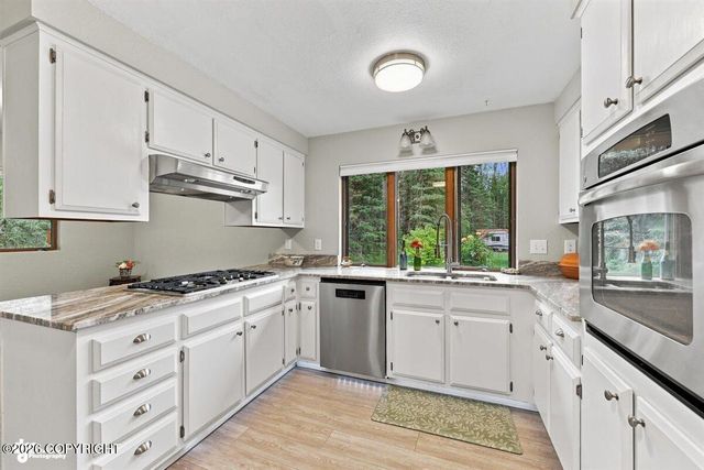 46861 Mooseberry Avenue, Kenai, AK 99611