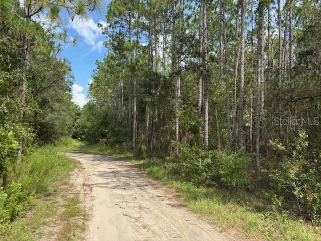 0000 SW 39TH STREET, Dunnellon, FL 34432