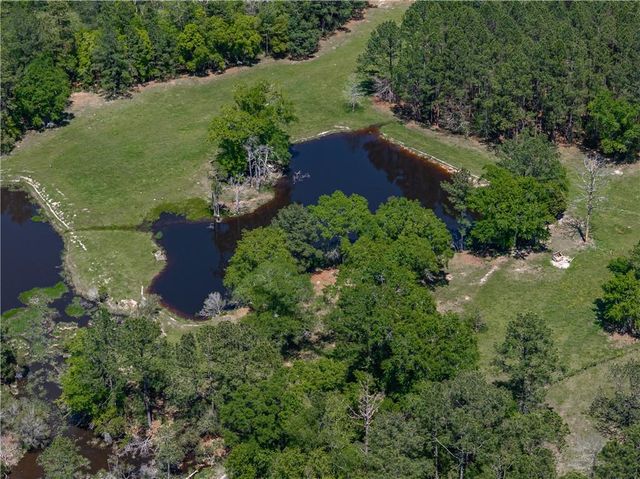 12950 Beverly Jeffries Highway, Citronelle, AL 36522