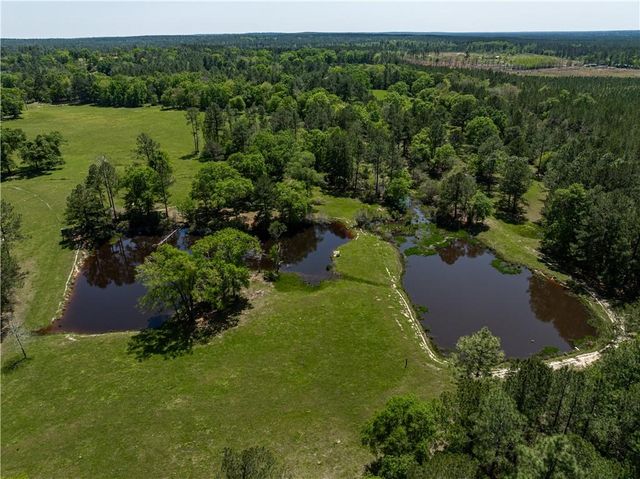 12950 Beverly Jeffries Highway, Citronelle, AL 36522