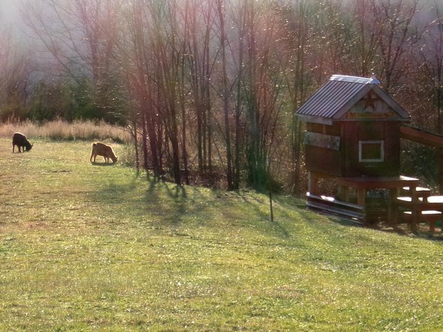 1078 Hamilton Road, Brooksville, KY 41004