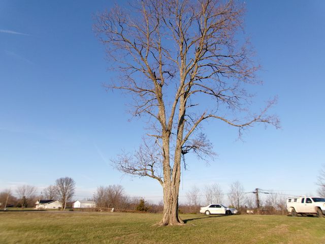 1078 Hamilton Road, Brooksville, KY 41004