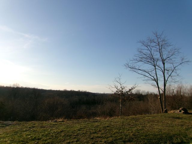 1078 Hamilton Road, Brooksville, KY 41004