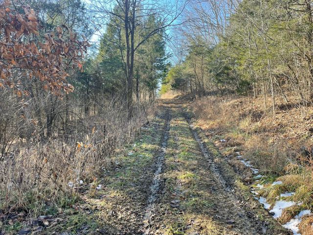 1078 Hamilton Road, Brooksville, KY 41004