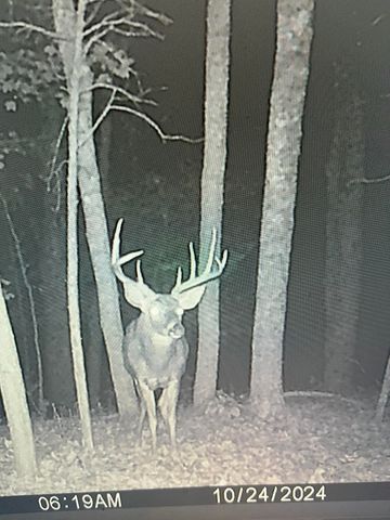 1078 Hamilton Road, Brooksville, KY 41004