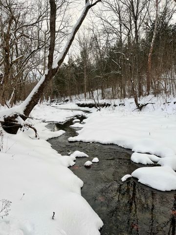 1078 Hamilton Road, Brooksville, KY 41004