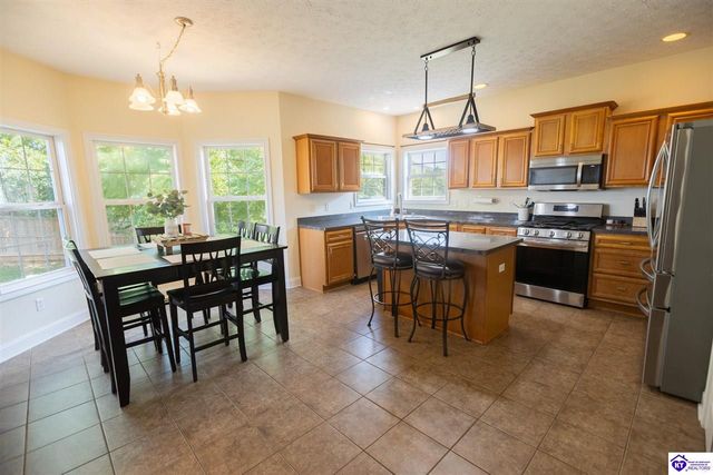 321 Vineland Place Drive, Vine Grove, KY 40175