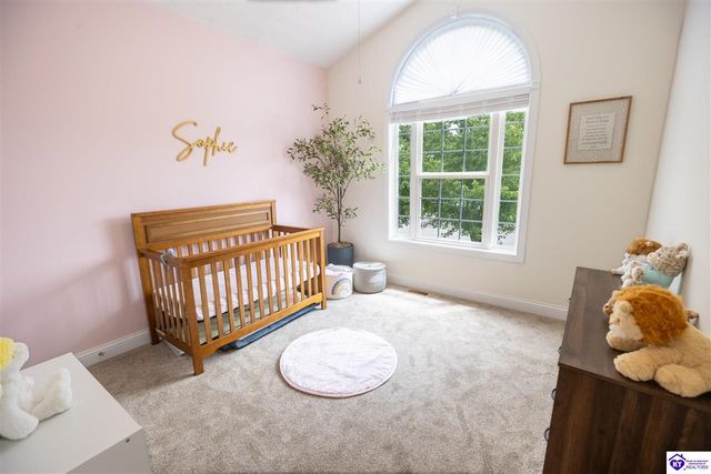 321 Vineland Place Drive, Vine Grove, KY 40175