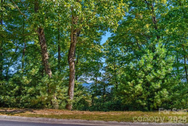838 Mills River Way, Horse Shoe, NC 28742